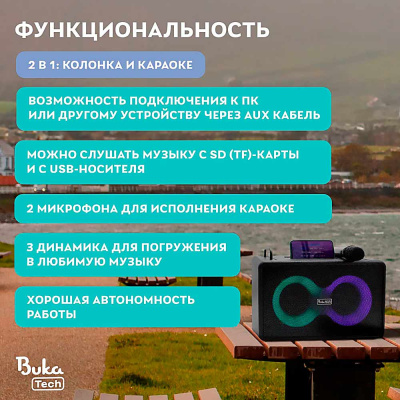 Портативная колонка с двумя микрофонами Patty BukaTech BT0009 черная 2