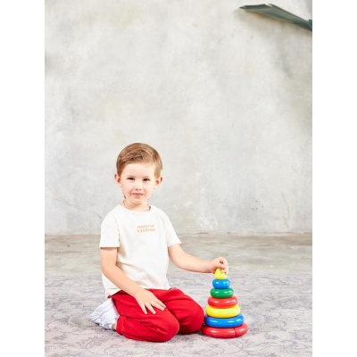 Пирамидка Малышок 6К Десятое Королевство 01601