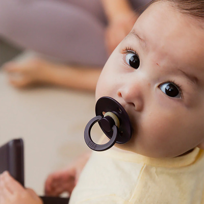 Пустышка латексная Colour Plum от 6 месяцев Bibs 200335 3