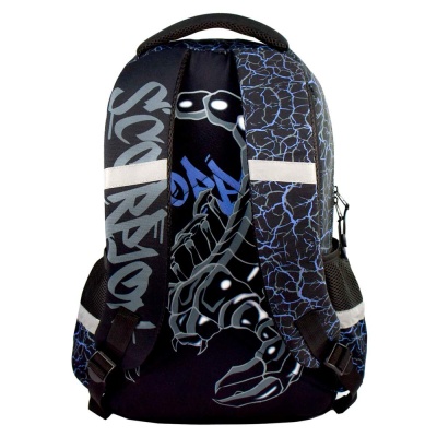 Рюкзак школьный Скорпион Феникс ФЕ-64152 2