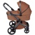 Коляска 2 в 1 Anex l/type (lt-11t) Hazel с аксессуарами
