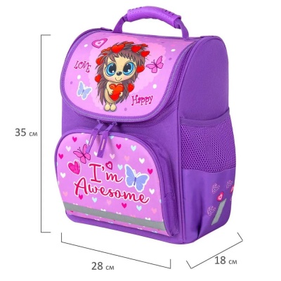 Школьный ранец Пифагор Basic 271370 3